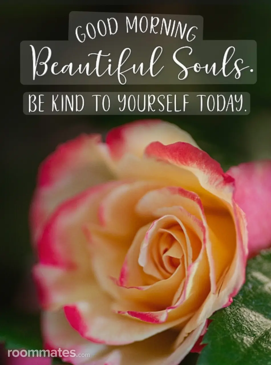 Profile photo 8 of 8