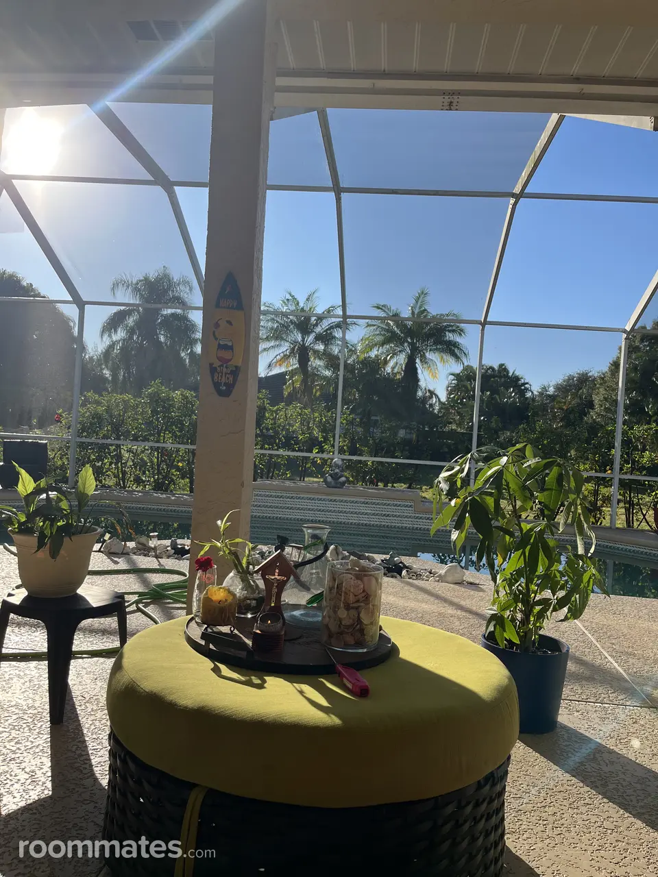 Profile photo 8 of 8