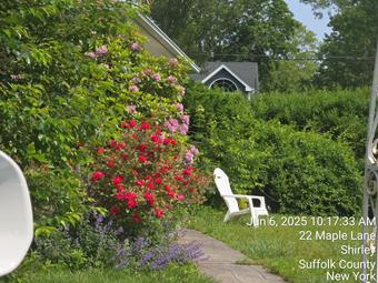 Room for rent in Shirley, NY $1000, house