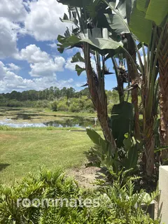 Room for rent in Sarasota, FL $1000, condo