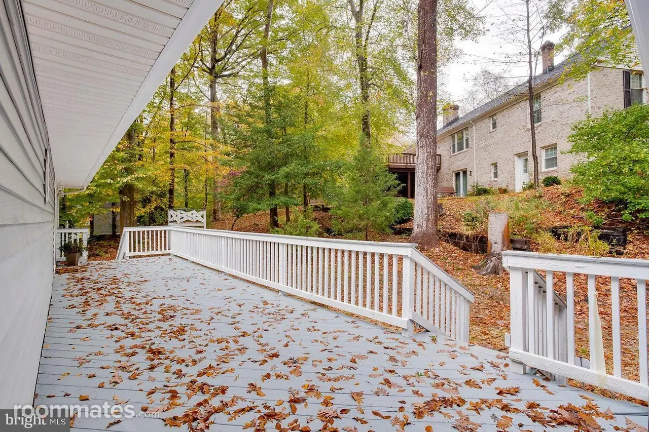 Profile photo 10 of 11