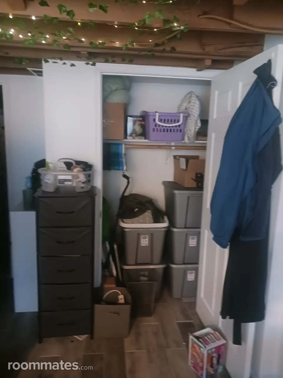 Profile photo 10 of 11