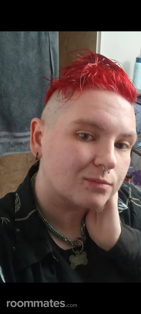 Profile photo 11 of 11