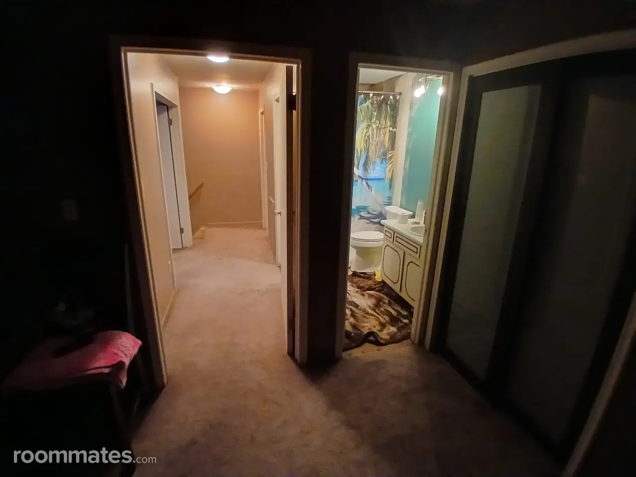 Profile photo 10 of 11