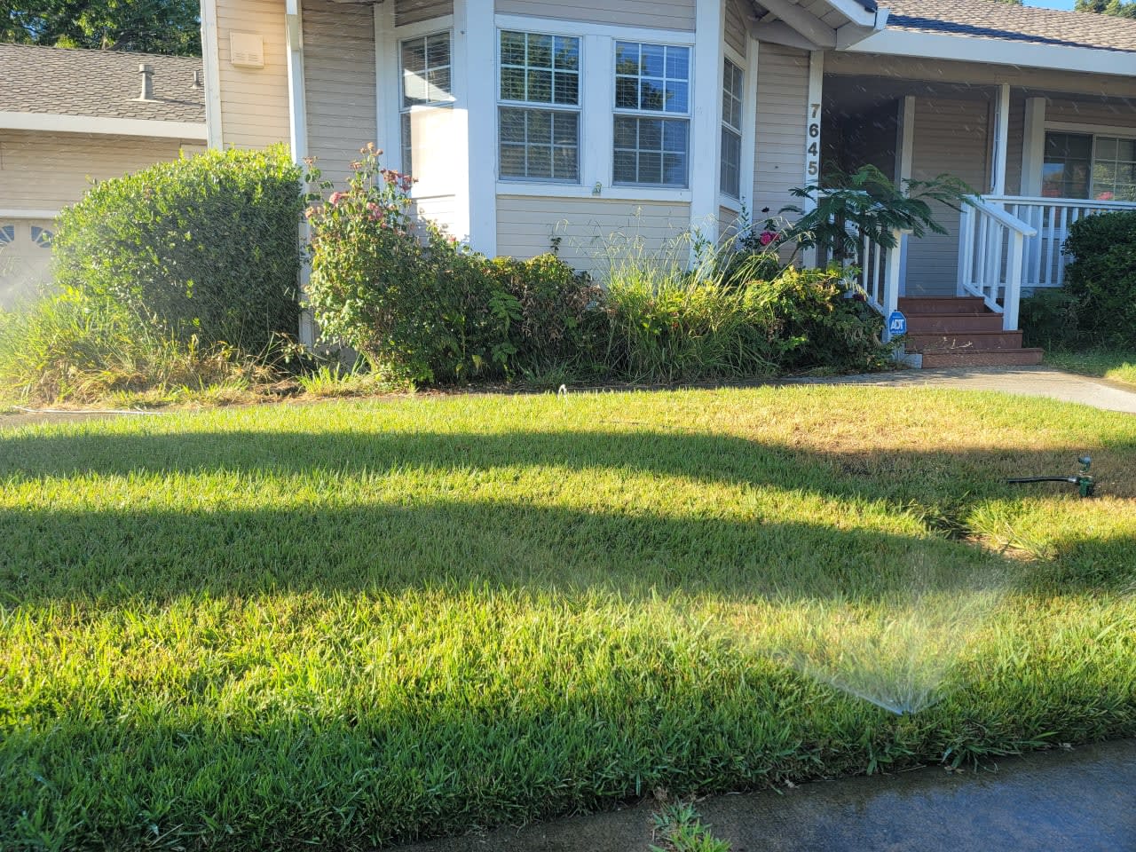 Profile photo 5 of 11