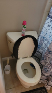 Room for rent in Citrus Heights, CA $700, other