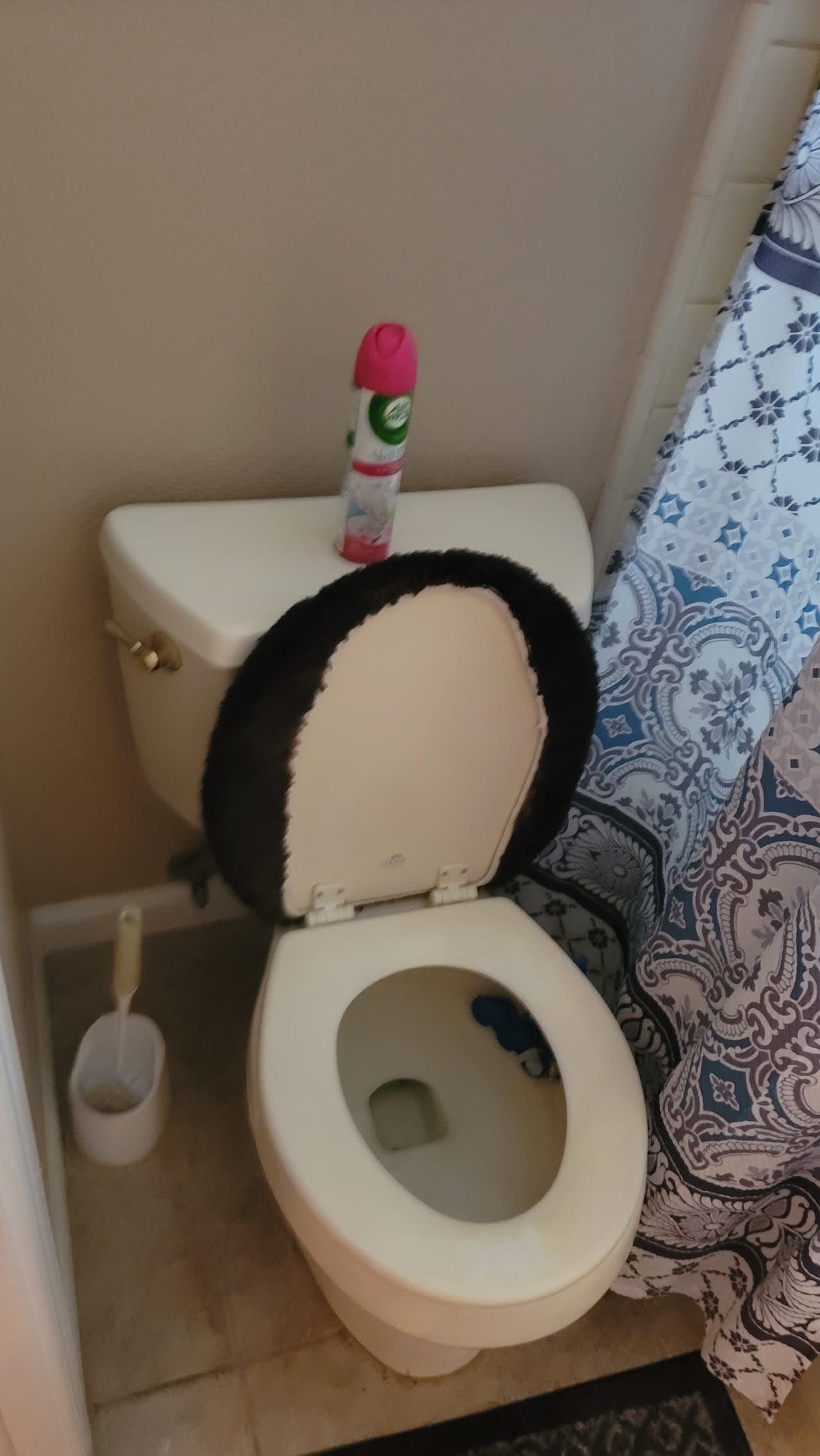 Profile photo 3 of 11