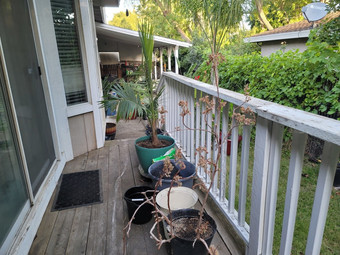 Room for rent in Citrus Heights, CA $700, other