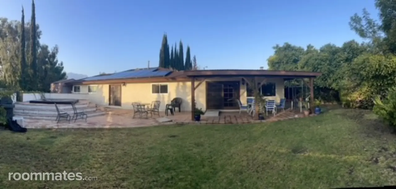 Profile photo 2 of 4
