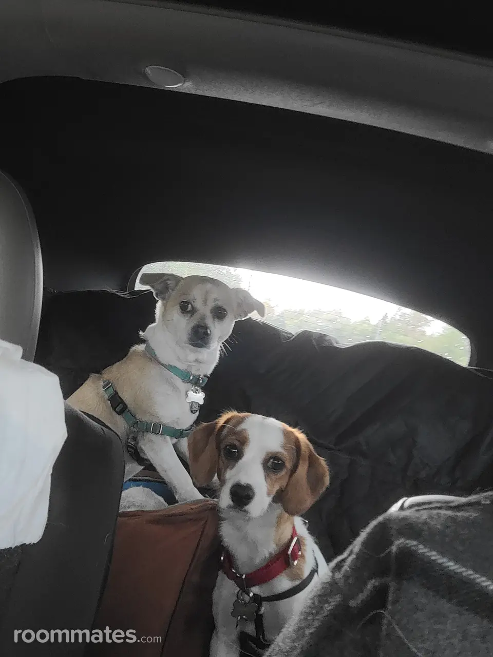 Profile photo 2 of 2