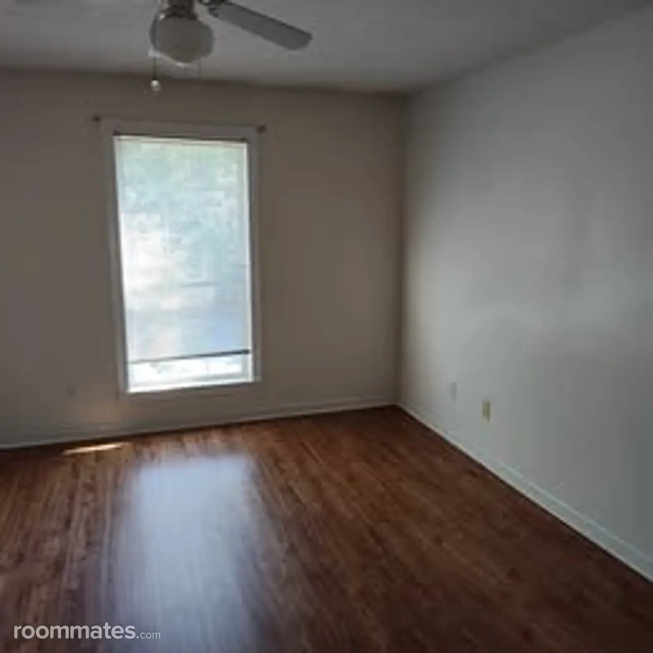 Profile photo 2 of 6