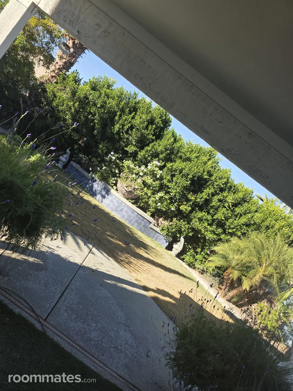 Profile photo 5 of 6