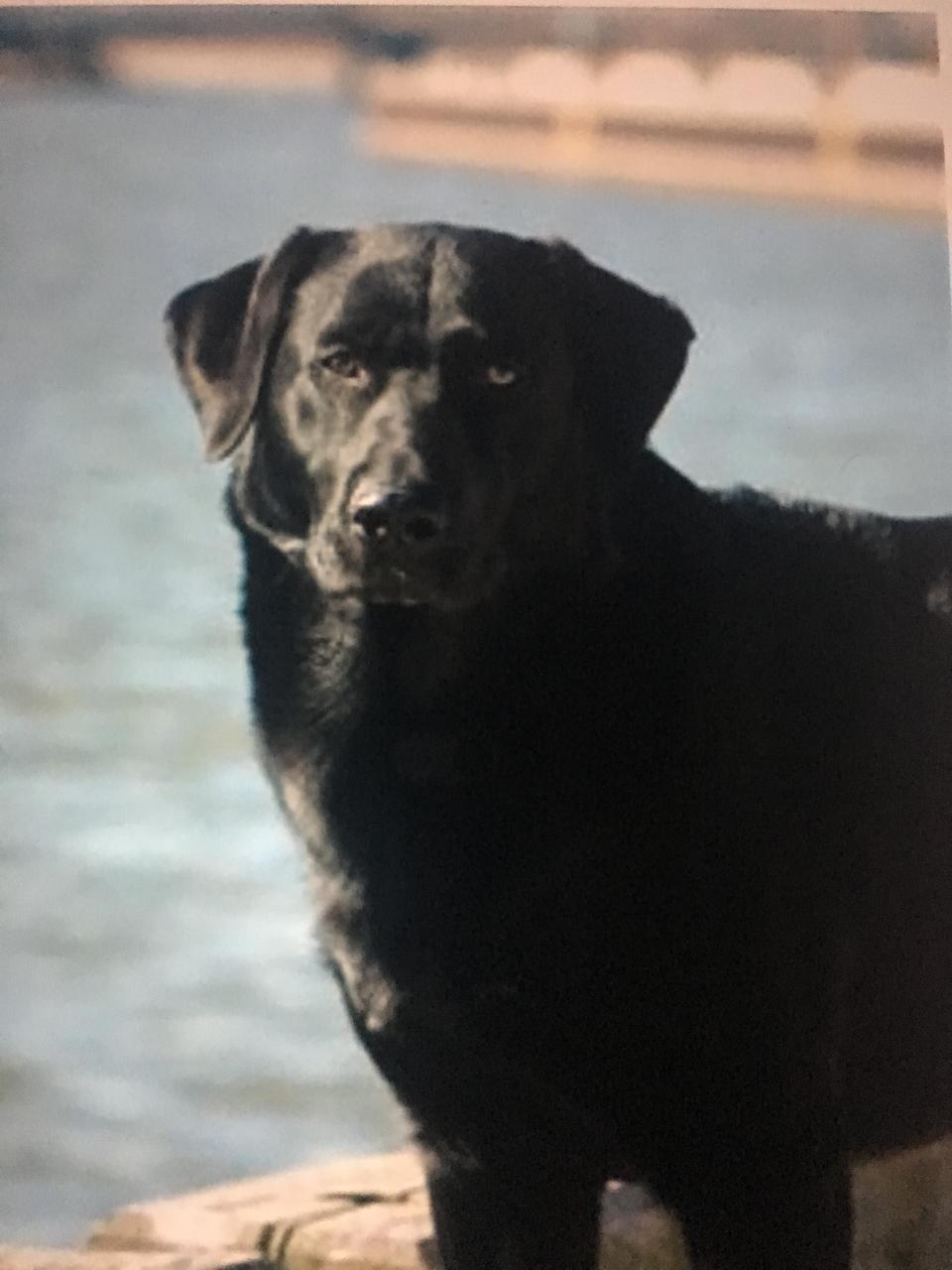 Profile photo 11 of 12