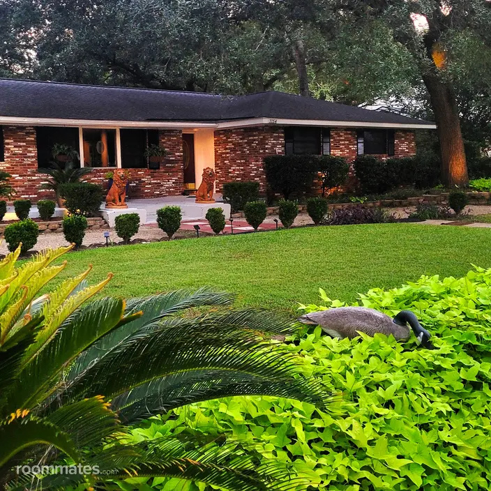 Room for rent in Charleston, SC $1100, house