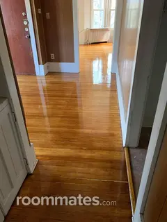 Room for rent in Albany, NY $600, apartment