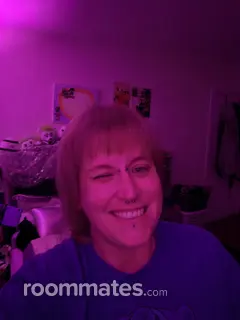 Roommate looking Newport News, VA, $1000