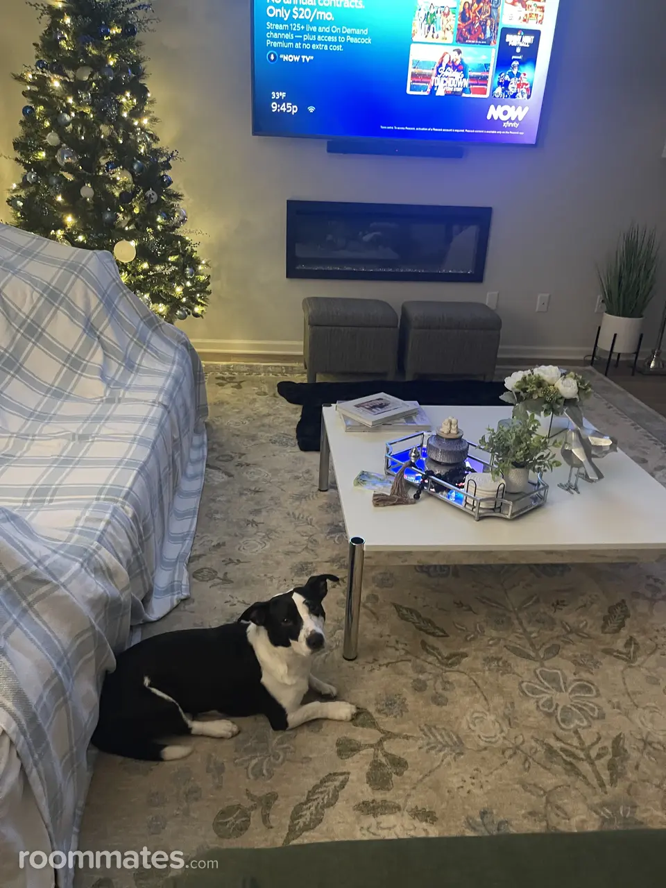 Profile photo 3 of 7