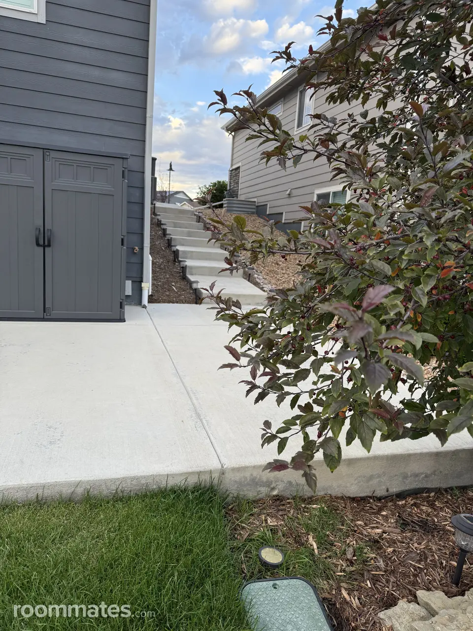 Profile photo 2 of 14