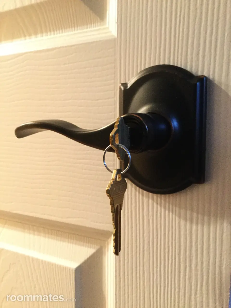 Profile photo 3 of 12