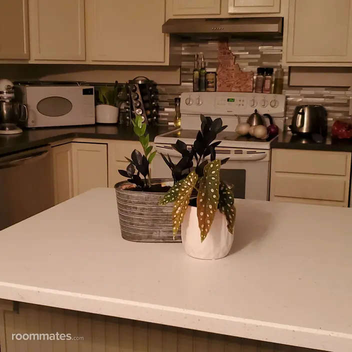 Room for rent in Moses Lake, WA $700, house