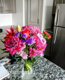 Room for rent in Austin, TX $500, apartment