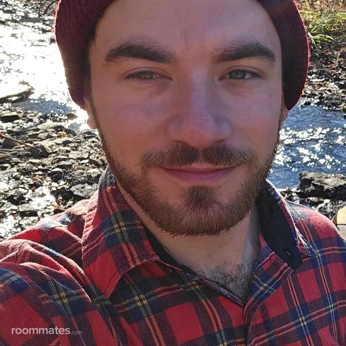 Roommate looking Saugerties, NY, $1300