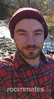 Roommate looking Saugerties, NY, $1300