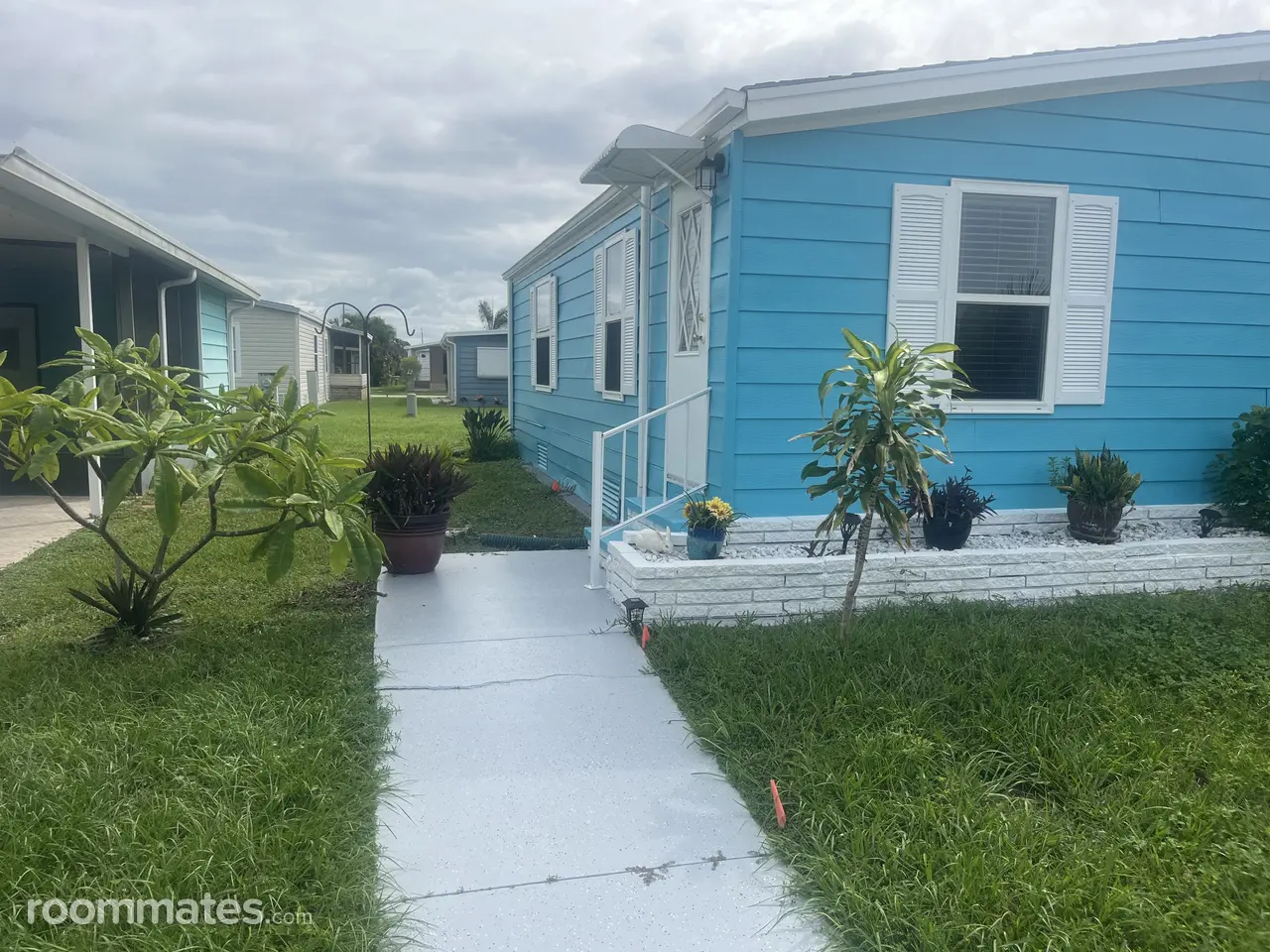 Profile photo 10 of 13