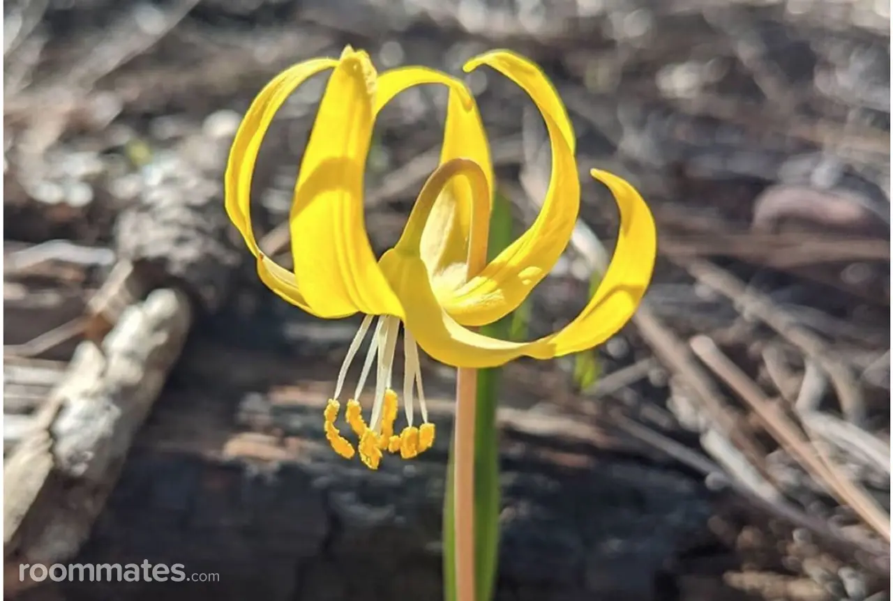 Profile photo 2 of 2