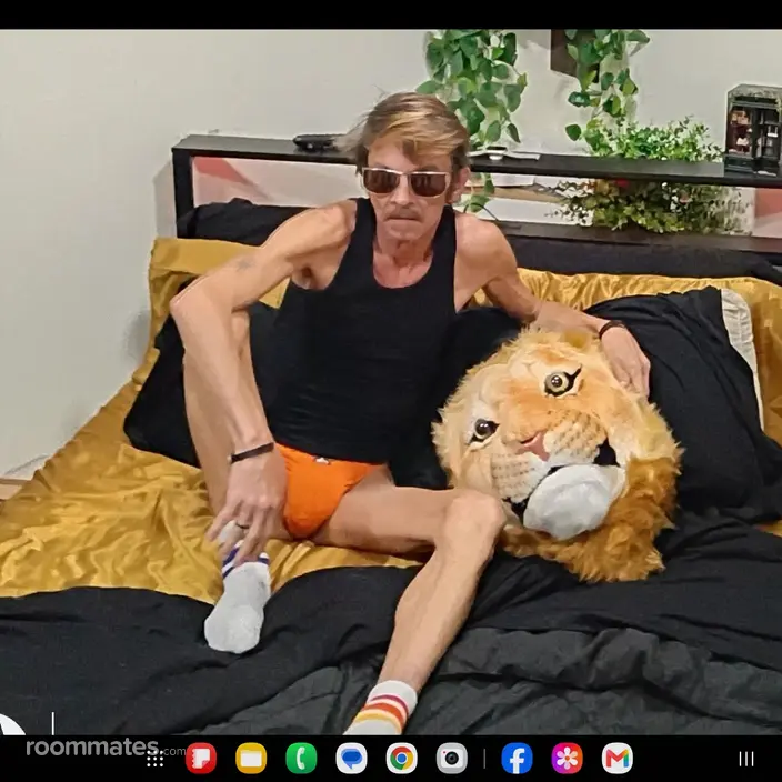 Roommate looking Fort Lauderdale, FL, $1300