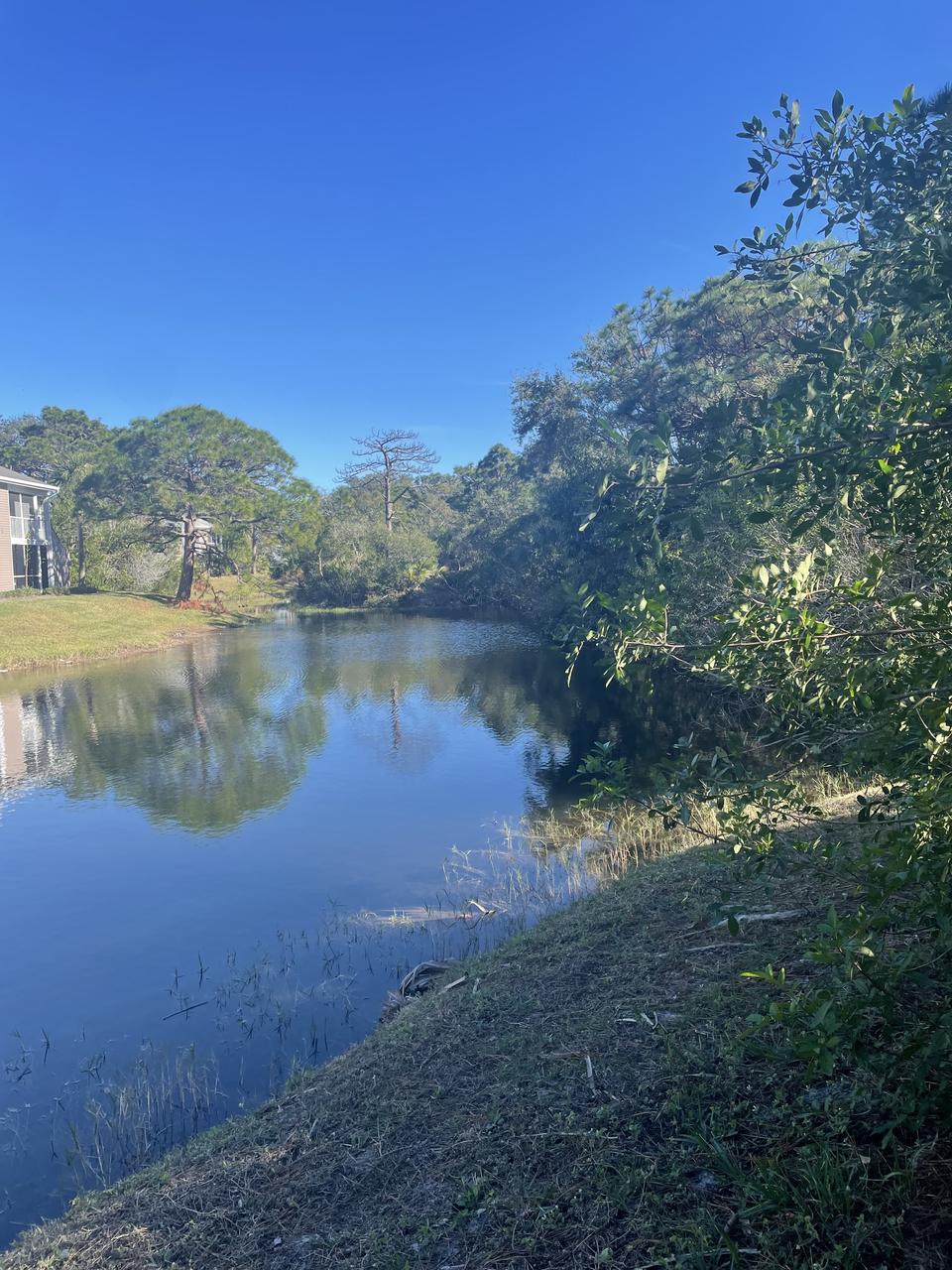 Profile photo 3 of 8