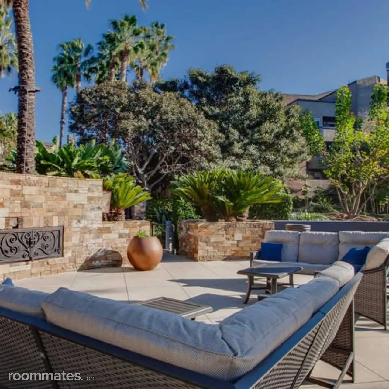 Profile photo 5 of 12