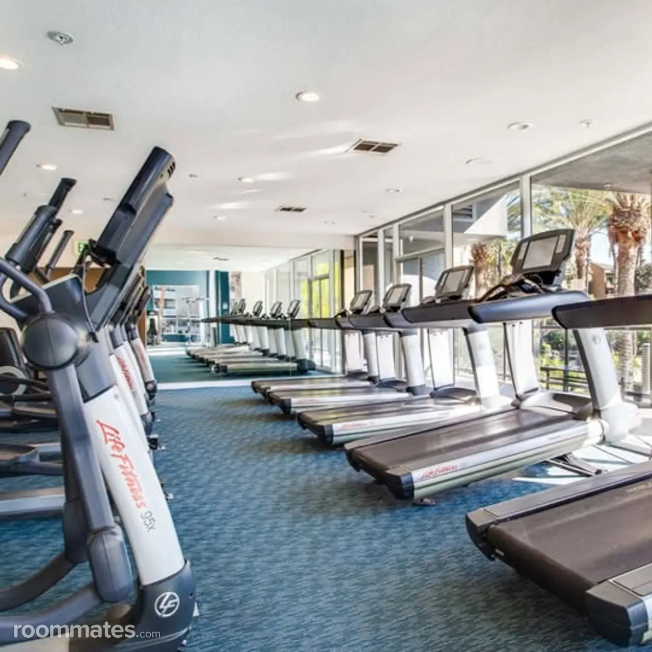 Profile photo 6 of 12