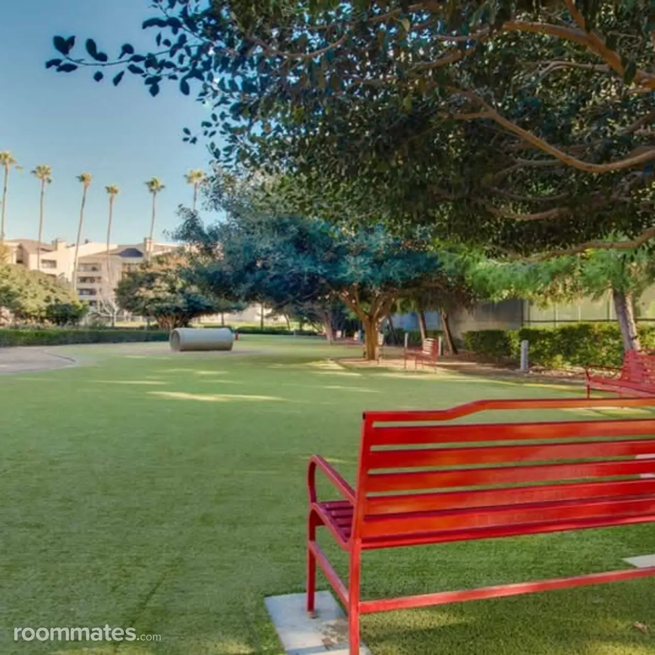 Profile photo 7 of 12