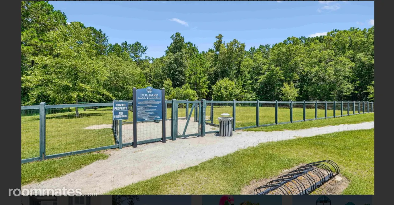 Profile photo 8 of 10