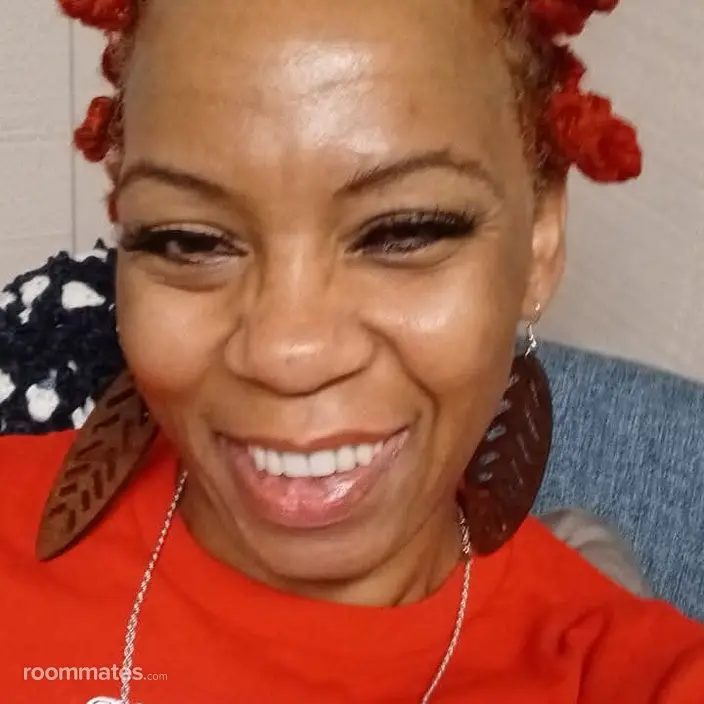 Roommate looking Norcross, GA, $800