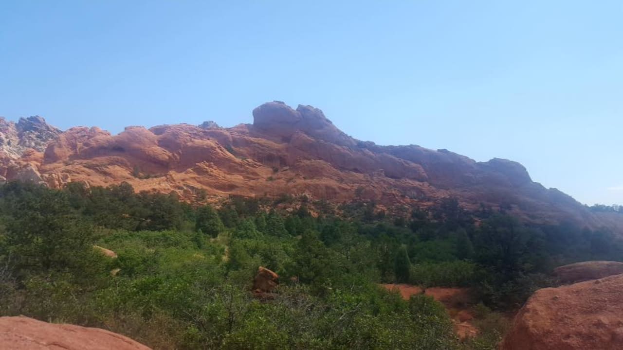 Profile photo 2 of 6