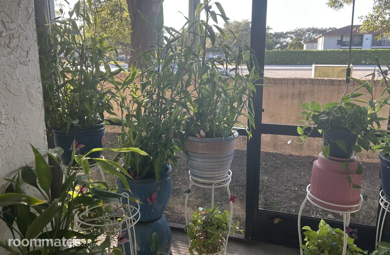 Profile photo 6 of 10