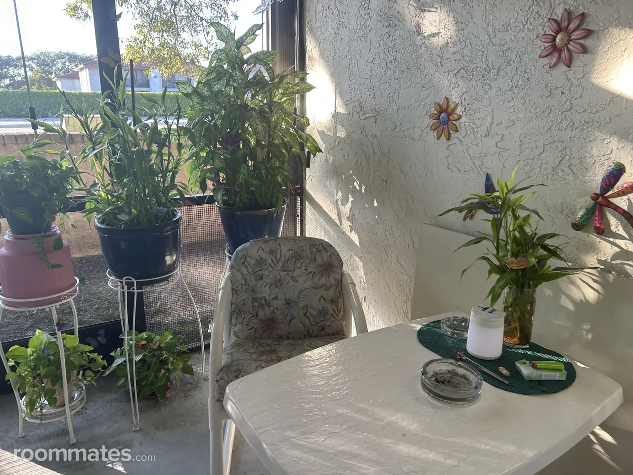 Profile photo 4 of 10