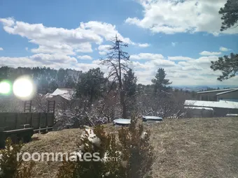 Room for rent in Castle Rock, CO $1, house