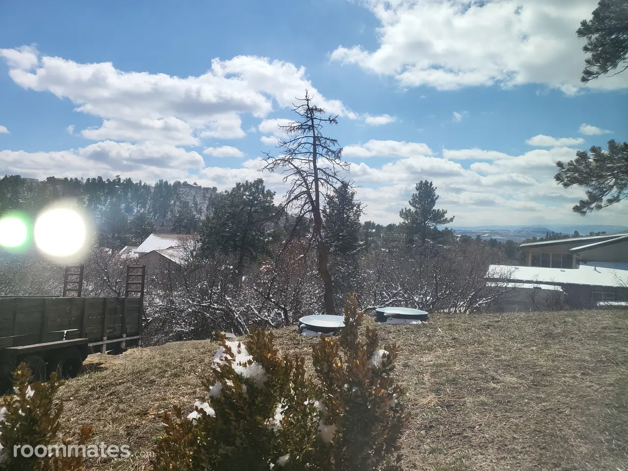 Profile photo 2 of 5