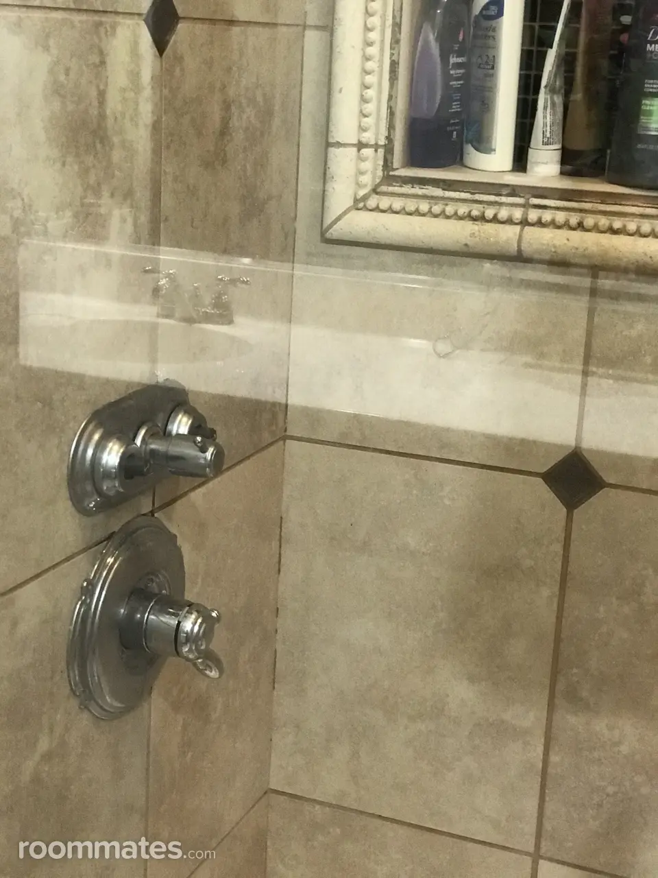 Profile photo 9 of 15