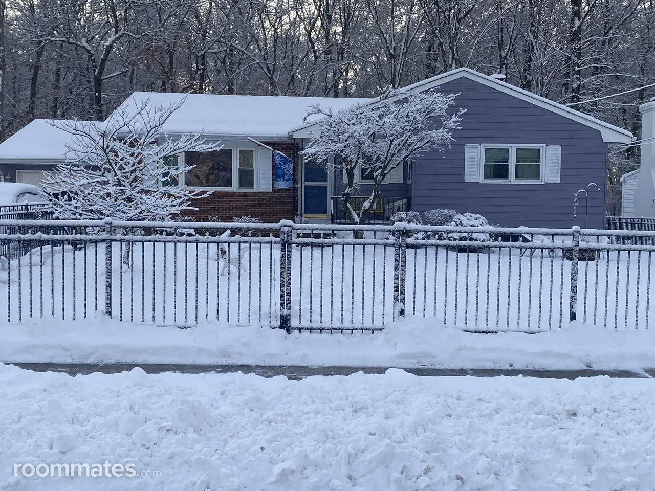 Profile photo 7 of 8