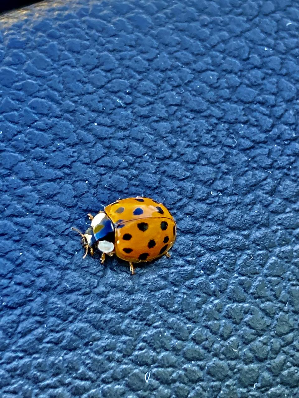 Profile photo 1 of 2