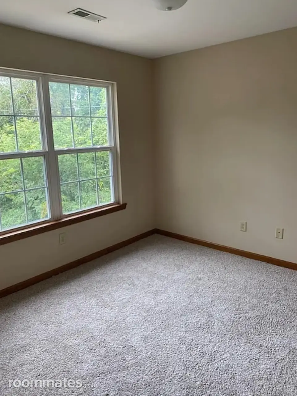 Profile photo 2 of 7