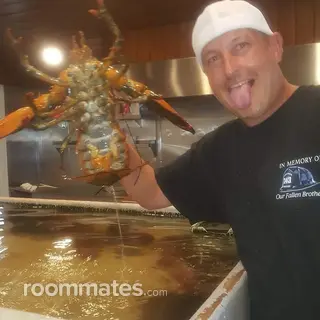 Roommate looking Billerica, MA, $1200