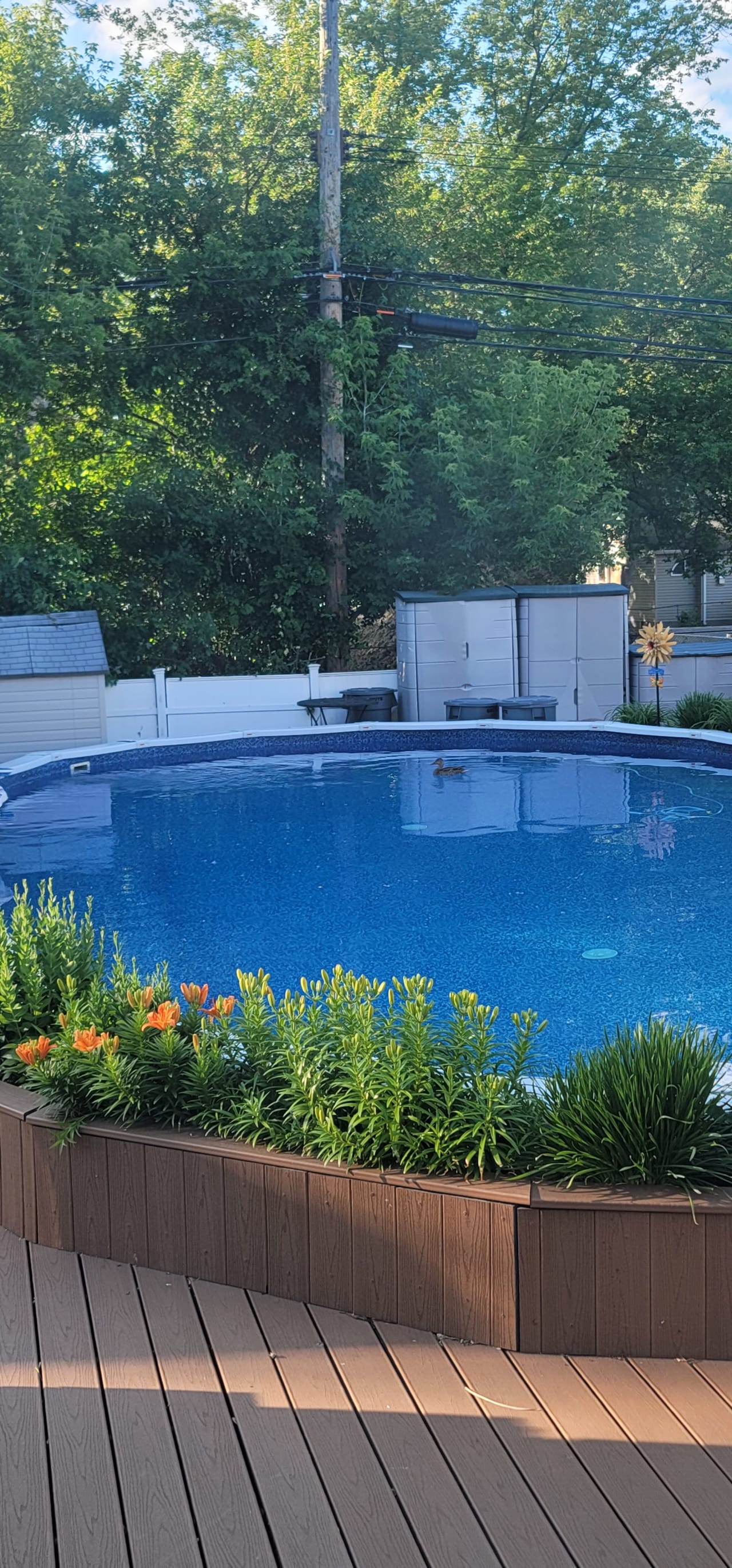 Profile photo 7 of 11