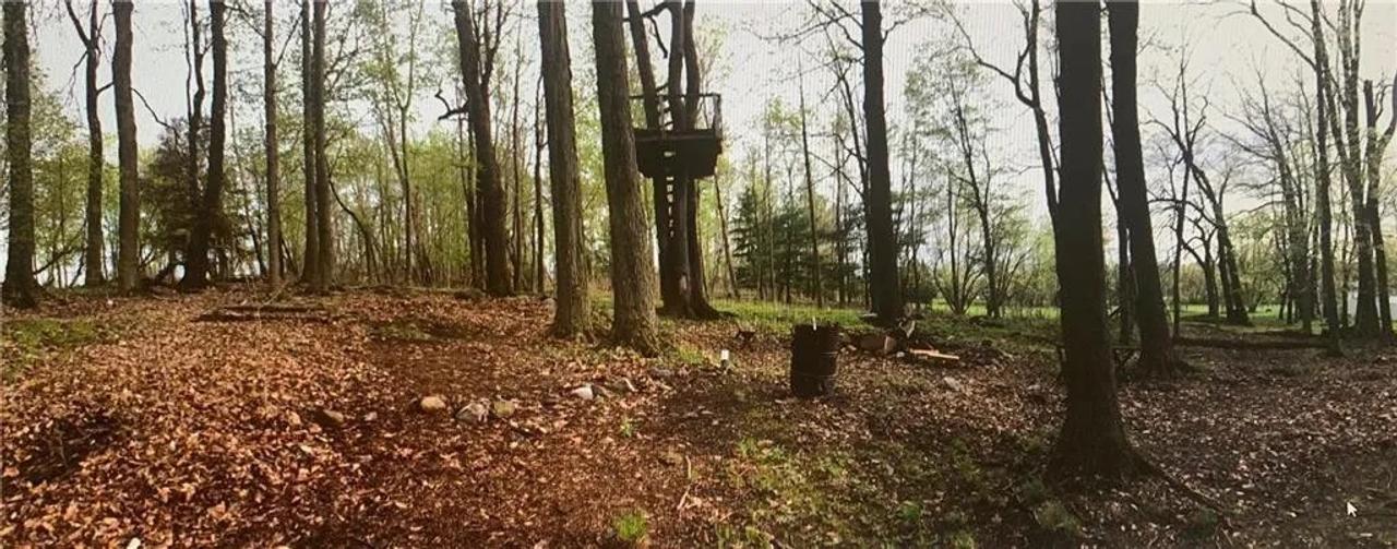 Profile photo 6 of 10