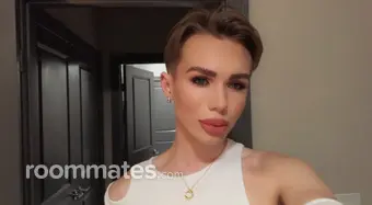 Roommate looking Chicago, IL, $1500