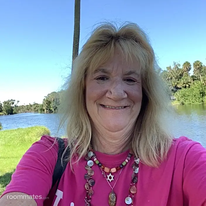 Roommate looking Riverview, FL, $1000